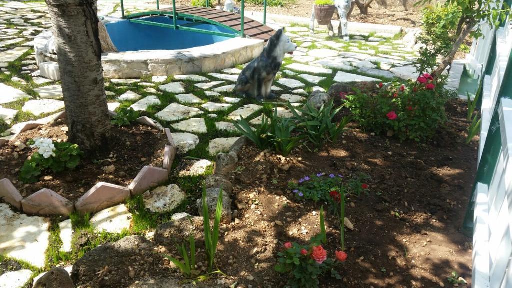 Apartments Matko Makarska Kültér fotó